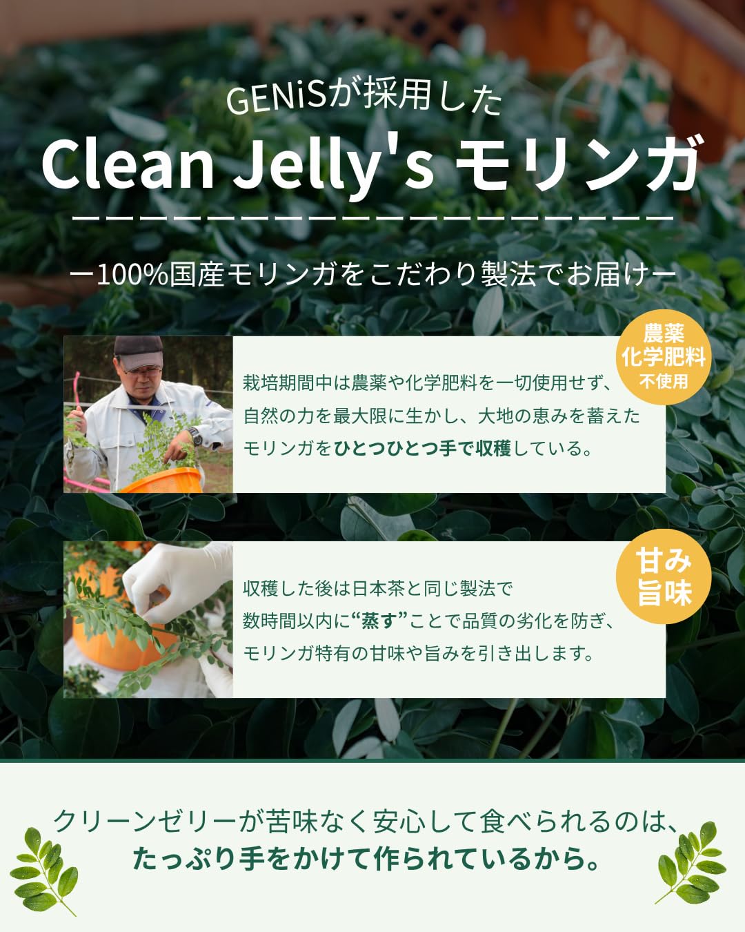 Amazon.co.jp: 【公式】GENiS (ジェニス) クリーンゼリー モリンガ配合